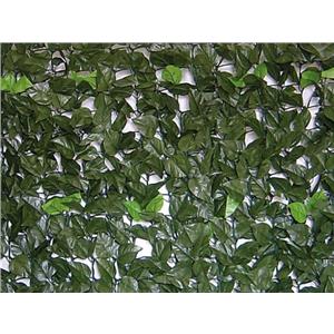 SIEPE EVERGREEN BRIXO LAURO 1X3MT